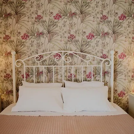 Vigla فيلة كالامي